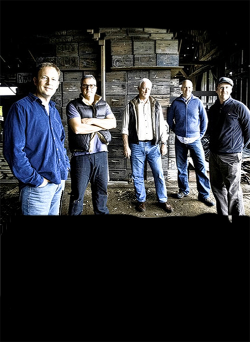 The /We are a Friulano Winery/ Selection