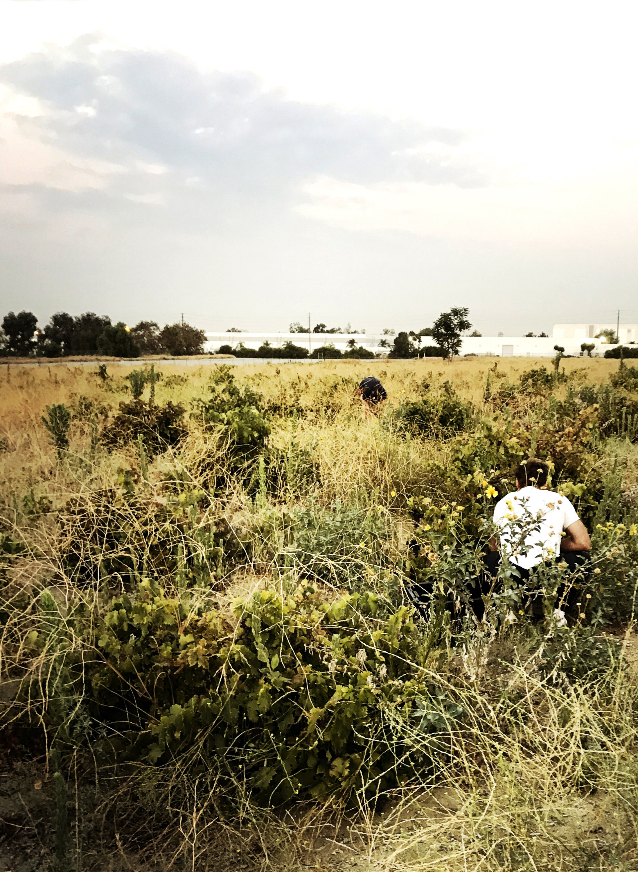 12 Seats at Easy Does It: Natural Wine and the Force of Place