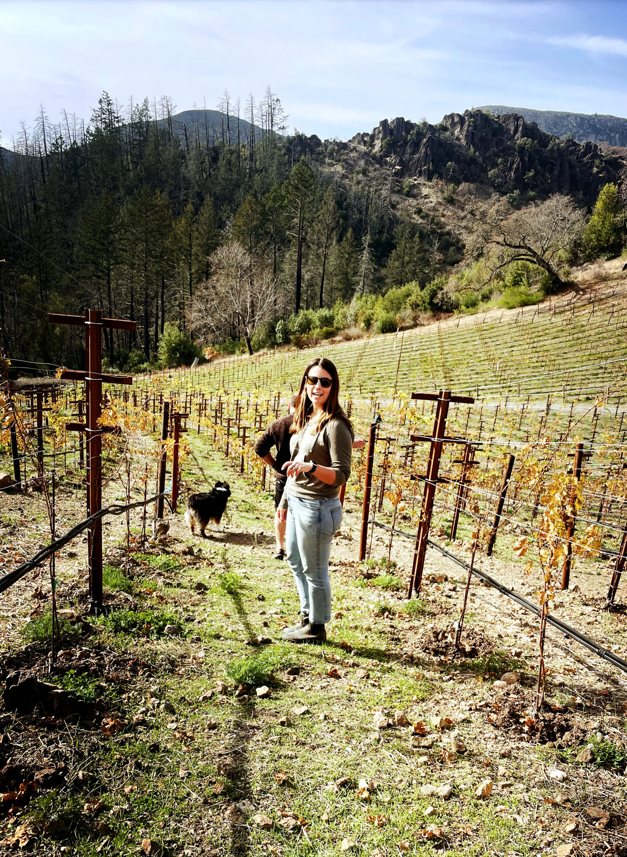 The Dream of Mt. Veeder: 12 Seats hosts Julia van der Vink