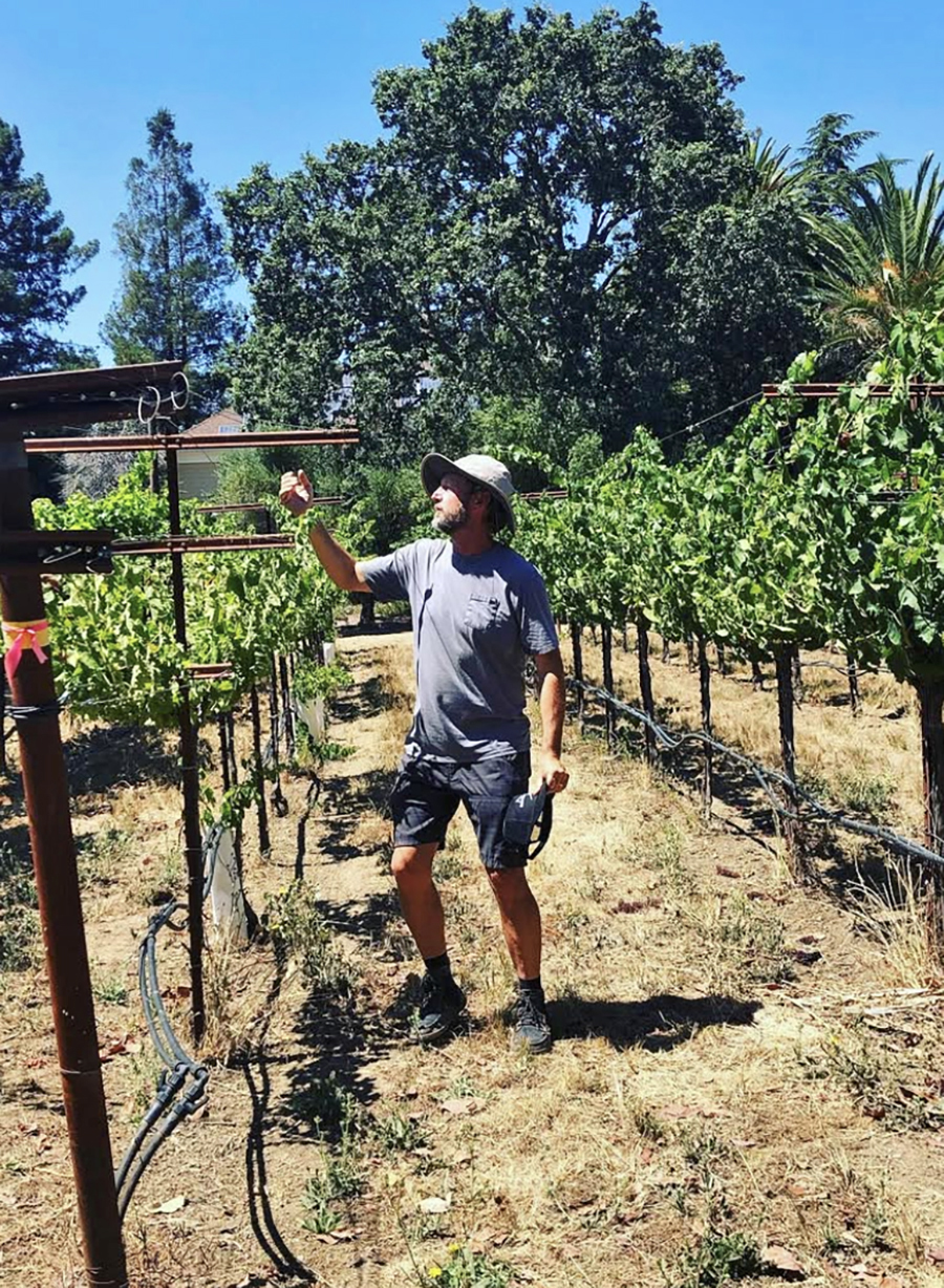 12 Seats hosts Steve Matthiasson: the Napa Series Episode 3