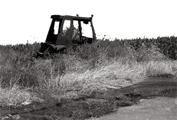 The
          land is so valuable in the neighborhood of Lost Slough that
          is imaginable to simply abandon farm equipment there …