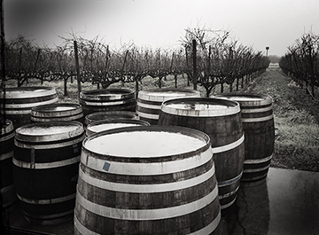 360_barrels_in_the_rain