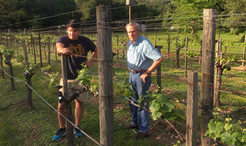 360_post_pruning_at_guman