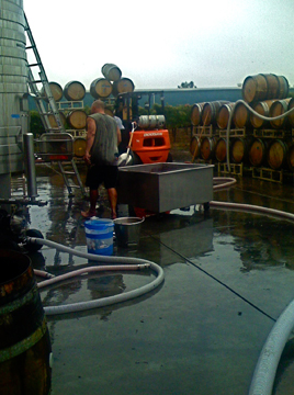 After filling the large stainless tank and getting through
          the
          explosive period of fermentation, we realized that we could
          transfer the wine to one of our wooden tanks.