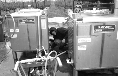 alex racking the wine from its sealed
          vessels