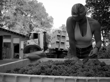 sarah and brigit admiring the stained grapes