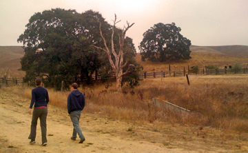 Jo and Graeme on the day before harvest 2008. The tree in
          the
          center is the “Widowmaker.”