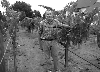 John Guman, who planted the vineyard and farms it still with
          pride and dedication