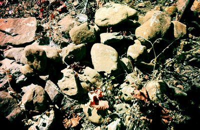 the rocks of matthiasson’s vineyard