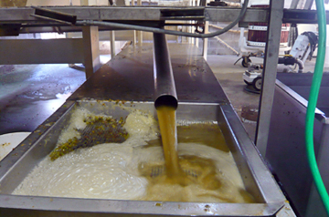the darker verdelho juice destined for gemella.